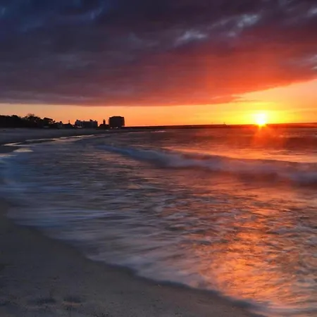 Pet-friendly W Garden * Darlowo