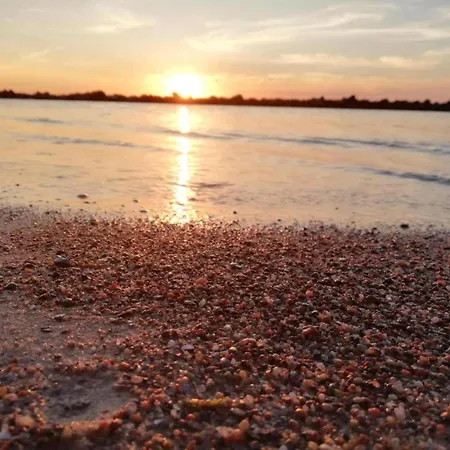 Pet-friendly W Garden *