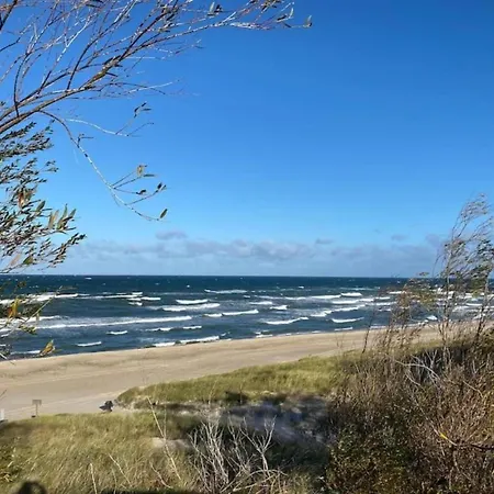 Pet-friendly W Garden