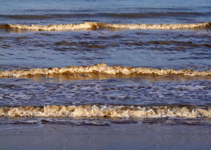 Сasa de vacaciones Pet-friendly W Garden Darłowo