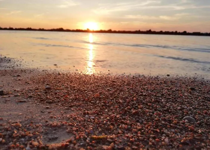 Pet-friendly W Garden *