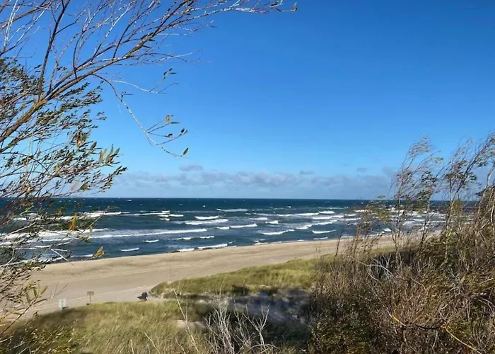 Pet-friendly W Garden